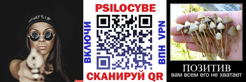 Псилоцибиновые грибы Magic Shrooms  где купить   Дигора 
